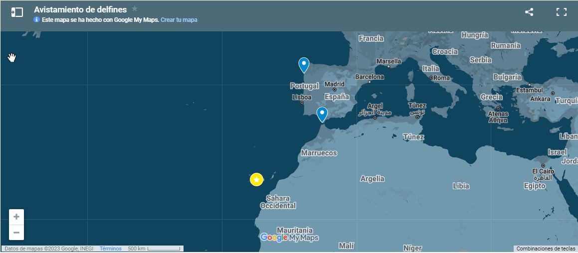 Lugares para ver delfines en libertad en España