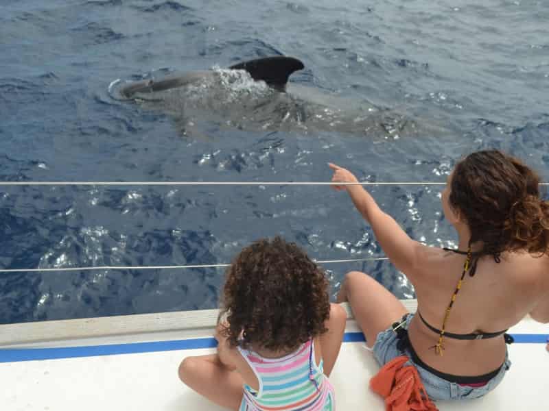 Whale watching