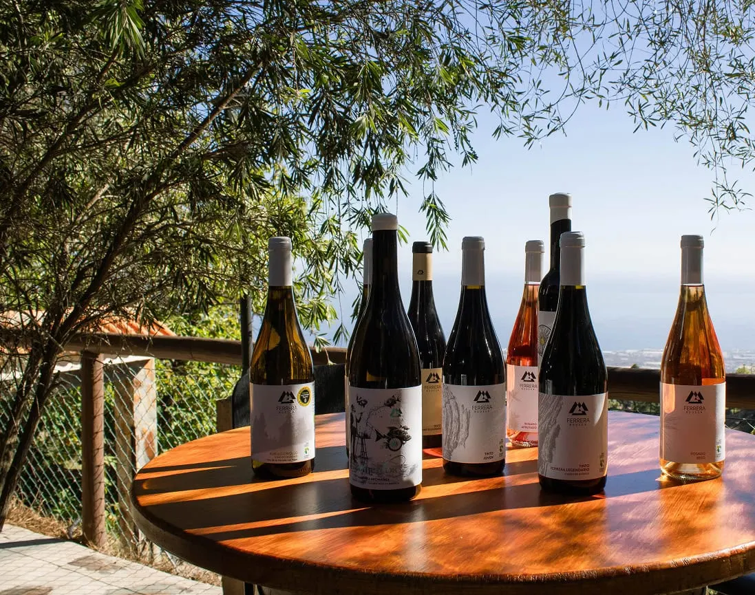 Bouteilles de vin de Bodegas Ferrera sur une table en bois, avec la vallée de Güímar et la mer en toile de fond