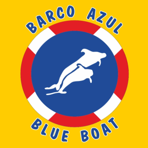 Drapeau de bateau bleu