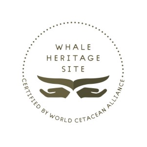 Certificado Whale Heritage Site